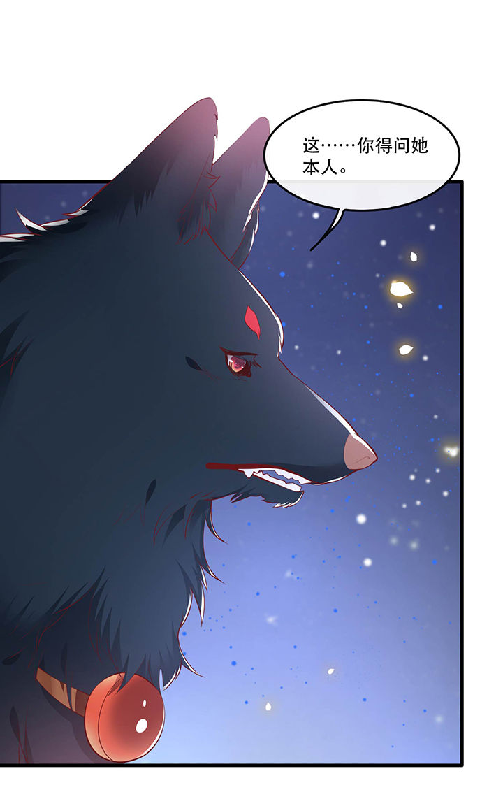 得宠全文免费阅读北夜漫画,第69章：老娘非北阴不嫁3图