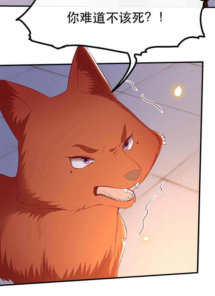 这个王妃路子野全集免费看漫画,第166章：吃了你也不为过吧3图