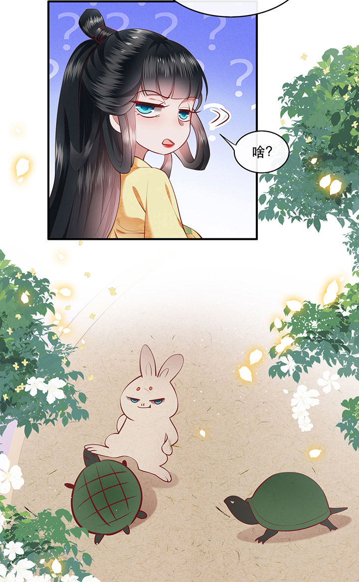 这个王妃路子野漫画,第58章：这战帖本公主收了！1图