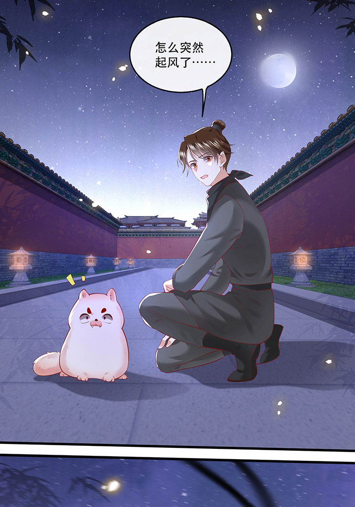 这个王妃路子野漫画,第72章：你在威胁本座？5图