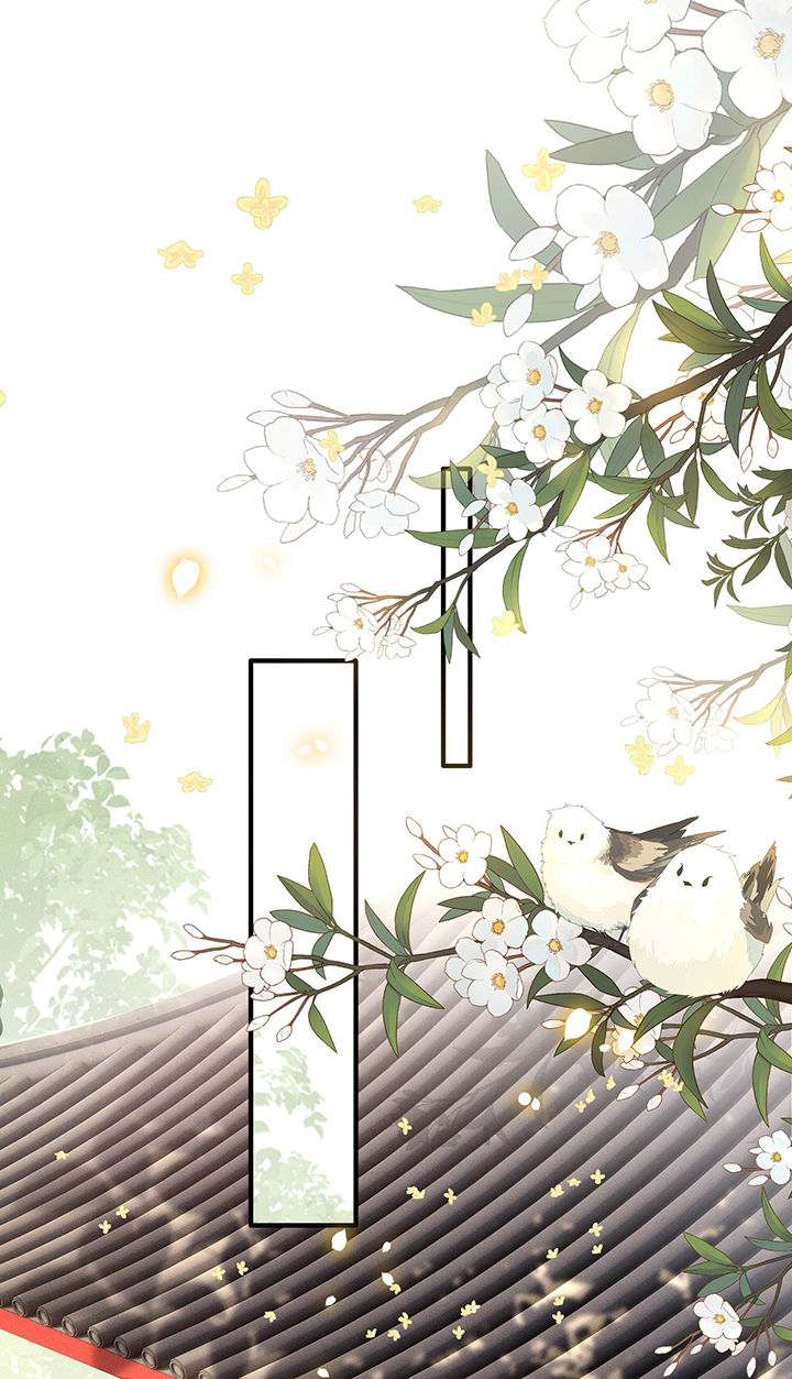 这个王妃路子野漫画,第51章：这才一晚，就喜当娘了？1图