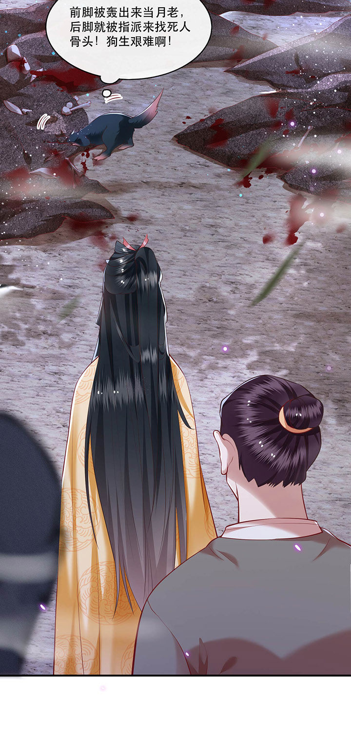 这个王妃路子野漫画,第54章：学会给主人捡东西了！1图