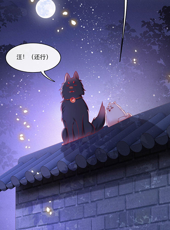 这个王妃路子有点野得宠动漫漫画,第59章：是时候，该收网了3图