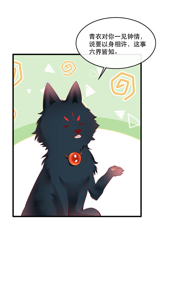 得宠全文免费阅读北夜漫画,第69章：老娘非北阴不嫁1图