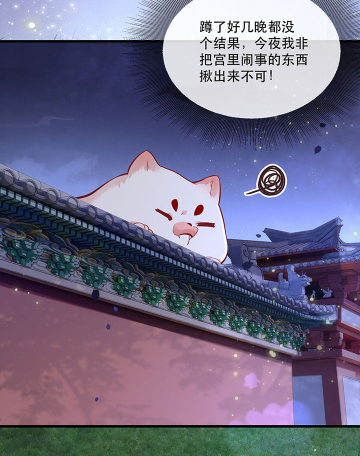 这个王妃有点皮动漫视频漫画,第71章：本宫答应嫁给你了吗？！5图