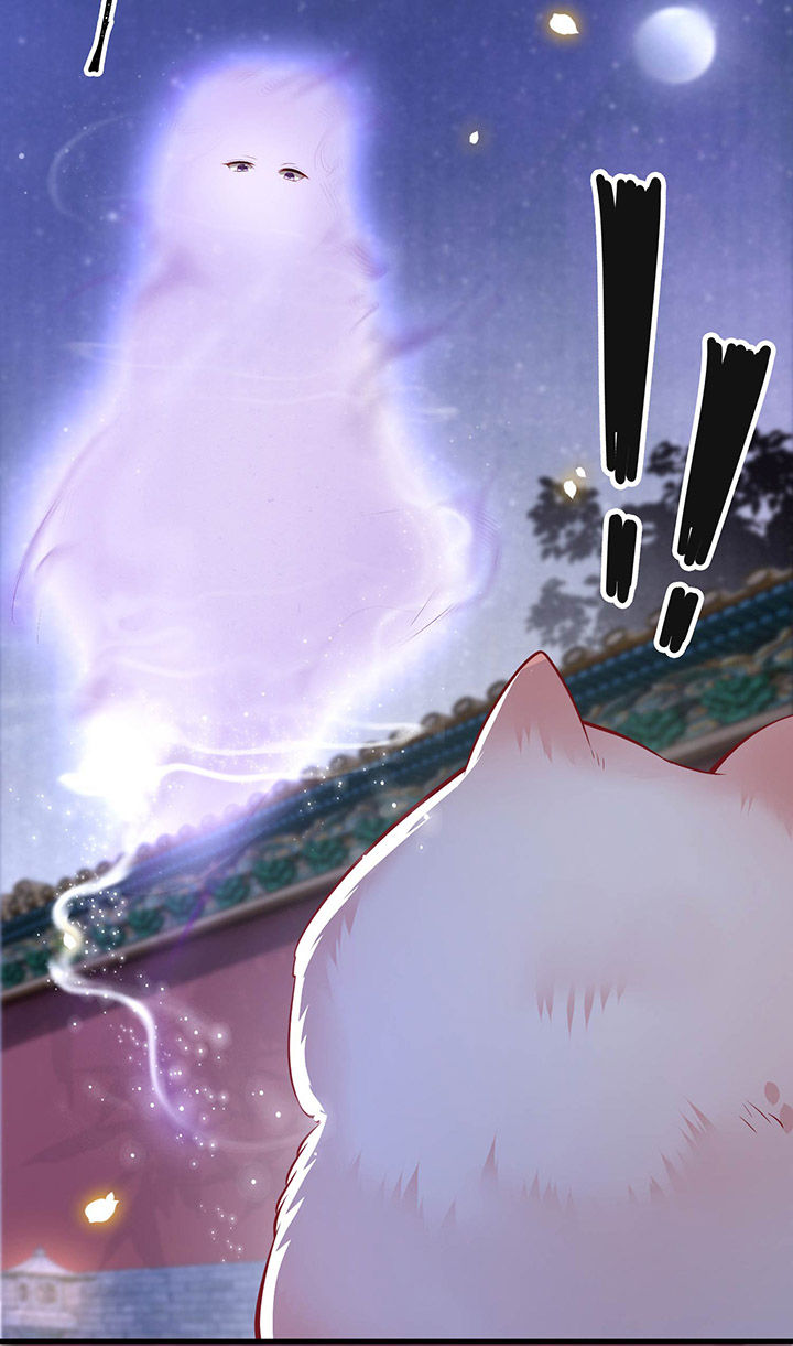 这个王妃路子野漫画,第72章：你在威胁本座？4图