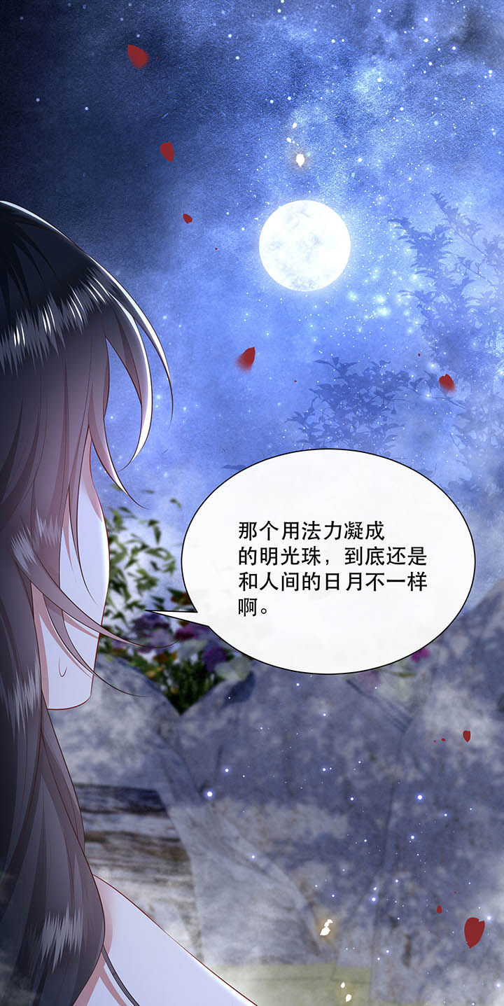 这个王妃不对劲漫画,第128章：你这只蠢狐狸3图