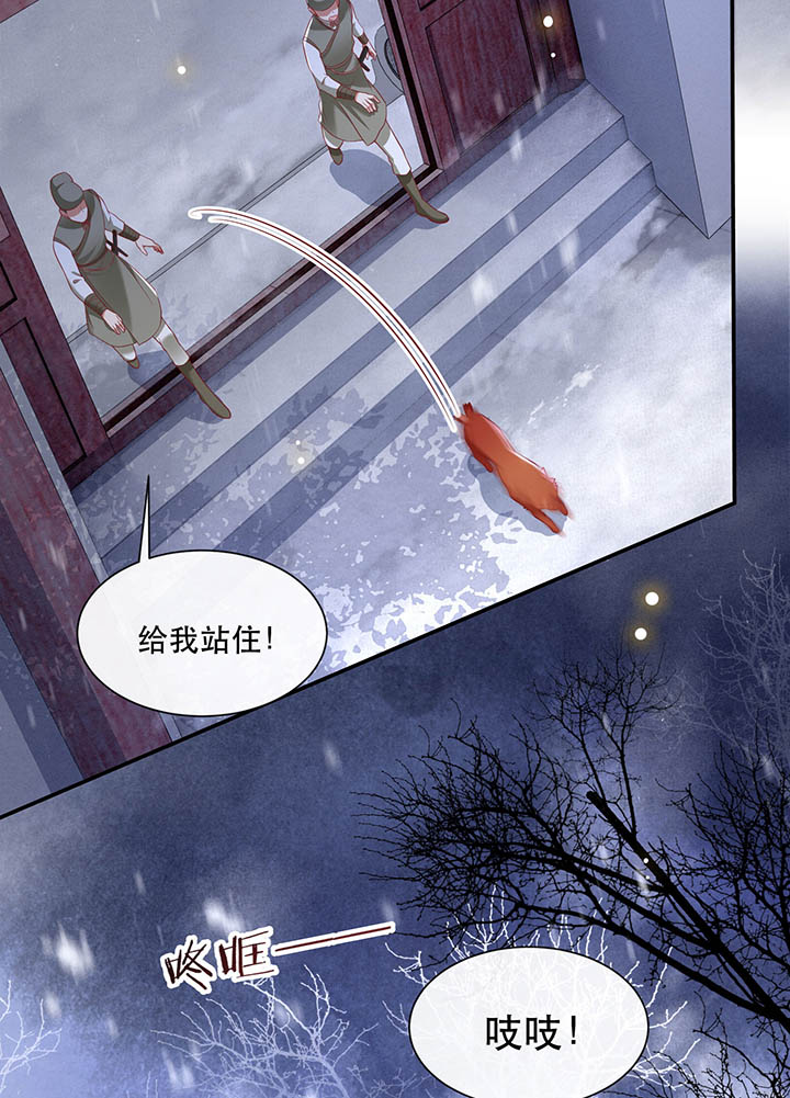 这个王妃路子野漫画,第110章：赶紧把裤子脱了5图