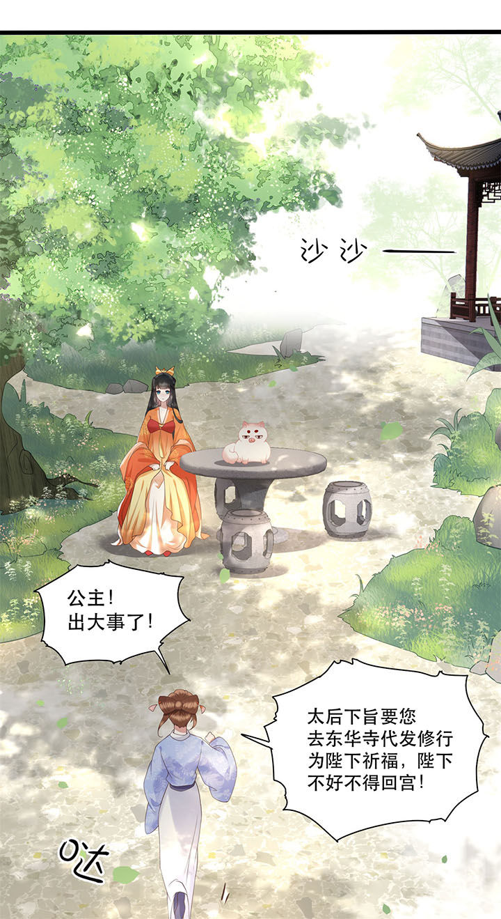 这个王妃路子野得漫画,第18章：去请教你的狗头军师4图