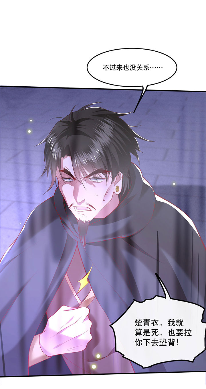 这个王妃路子很野得宠漫画漫画,第66章：我也没下死手啊3图