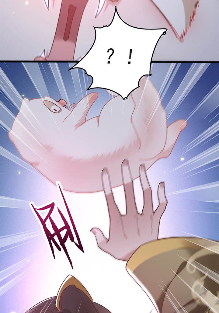 得宠漫画,第7章：还搁这哔哔赖赖2图