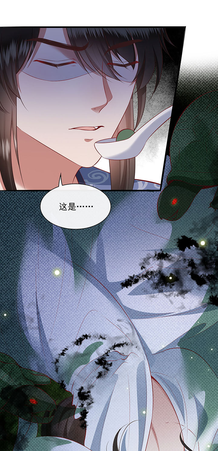 得宠全文免费阅读北夜漫画,第123章：本公主给你做老鳖汤4图