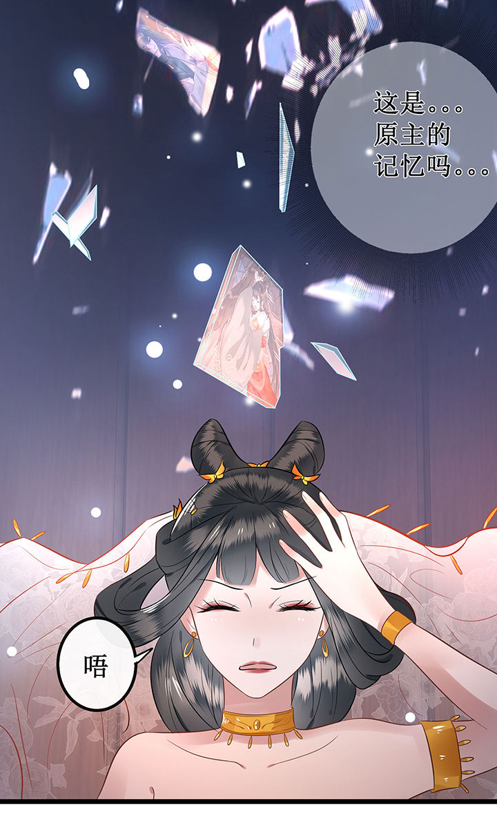 这个王妃有点野漫画,第1章：皮相倒还不错1图