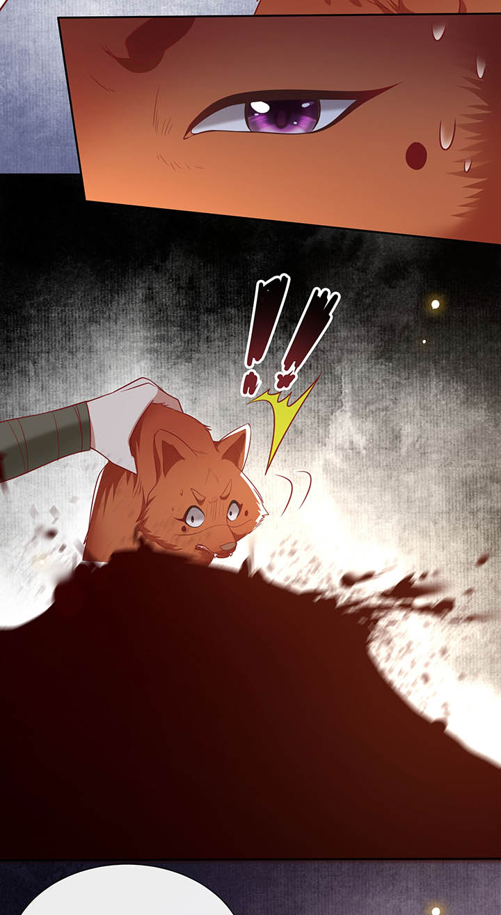 这个王妃路子野漫画,第110章：赶紧把裤子脱了2图