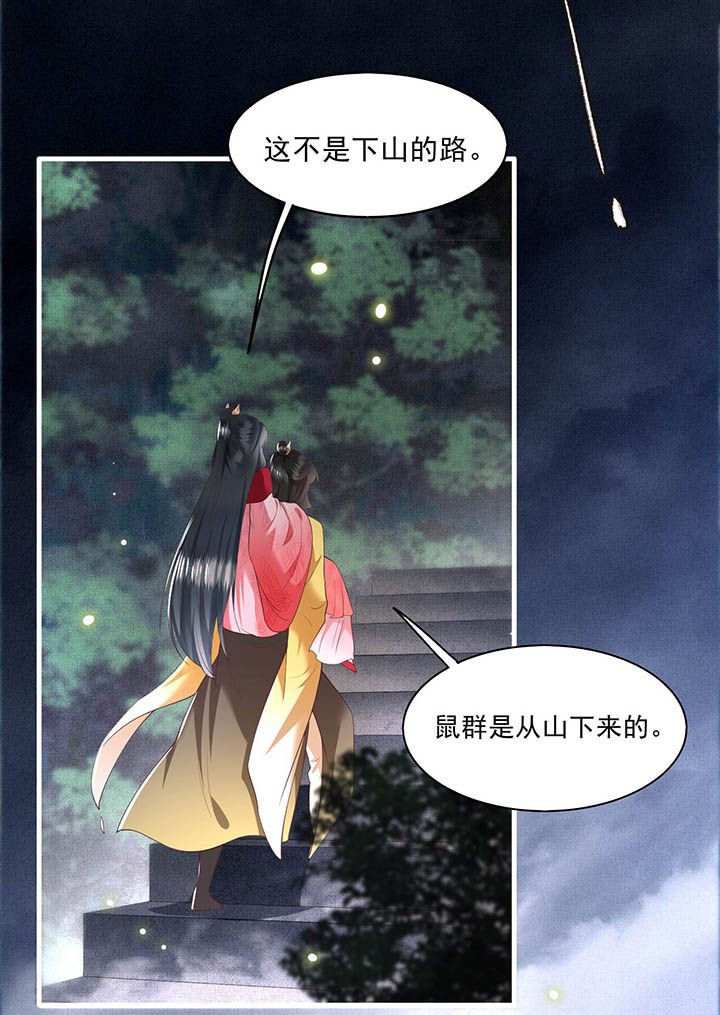 这个王妃路子野漫画漫画,第29章：臣忽感不适，劳烦公主搀着5图