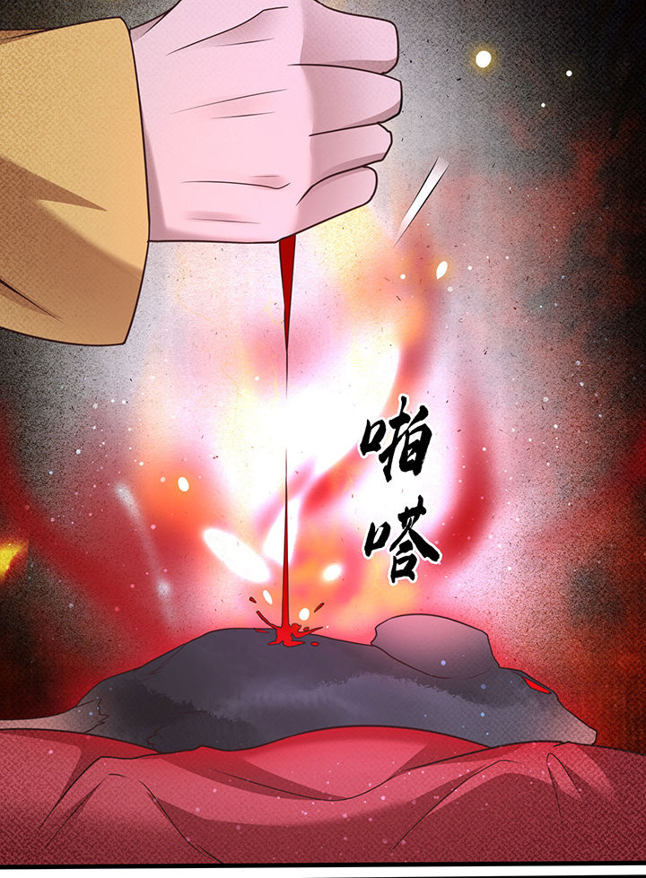 这个王妃路子野漫画,第33章：赶紧把那只猫精收拾了！_5图