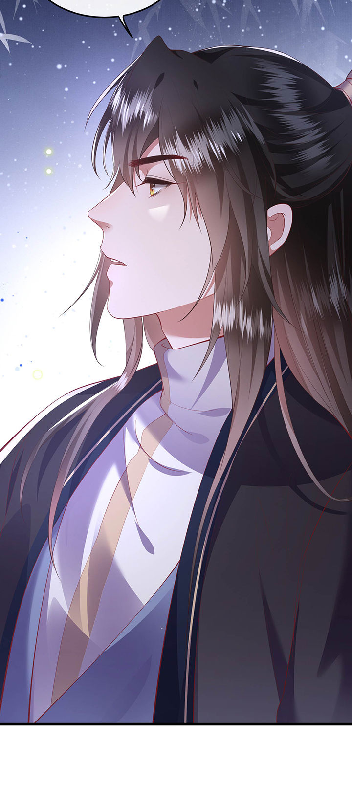 这个王妃太狂野全集免费漫画,第69章：老娘非北阴不嫁5图