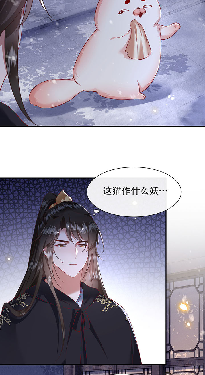 这个王妃路子野漫画,第126章：求个婚告昭六界？！2图