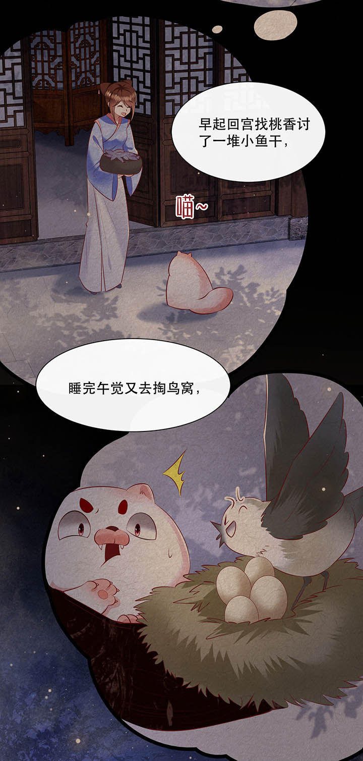这个王妃路子野得漫画,第129章：竟然还活着！2图
