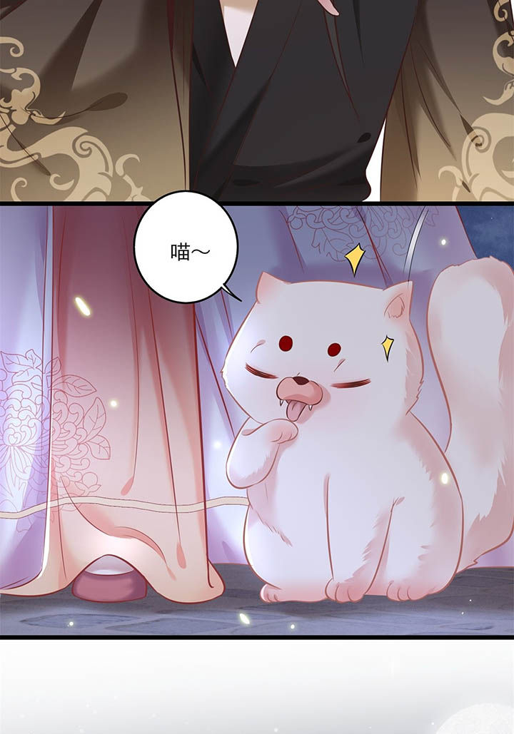 得宠漫画,第7章：还搁这哔哔赖赖1图