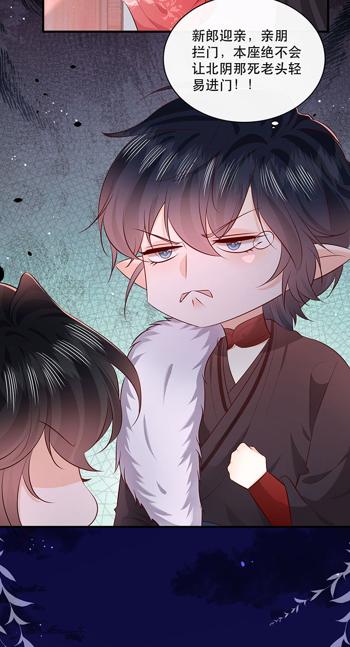 这个王妃路子野,得宠漫画,第176章：【番外】婚事顺利结束2图