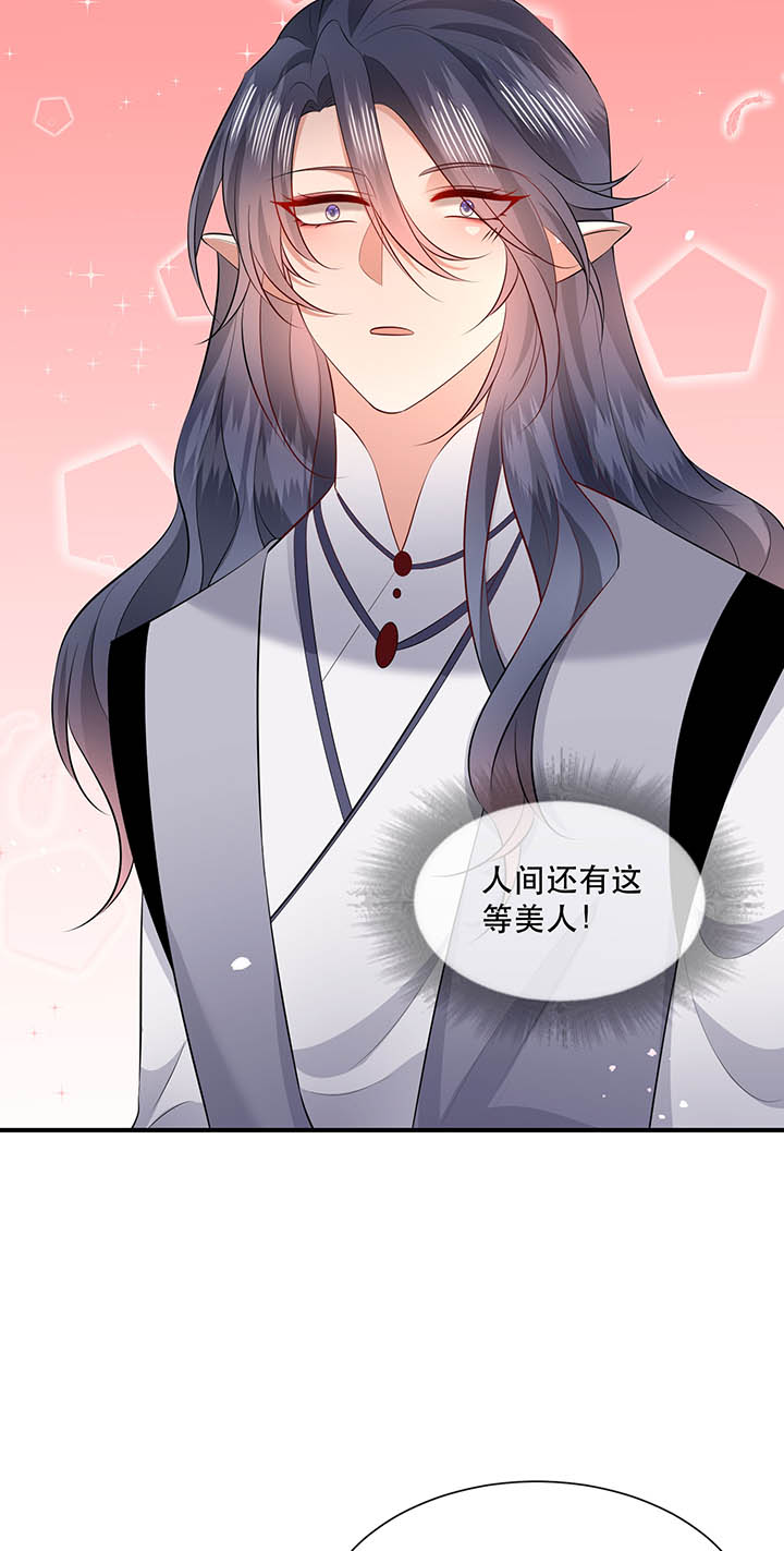 这个王妃路子野得宠小说免费阅读笔趣阁全文无弹窗漫画,第156章：夜会摄政王府2图