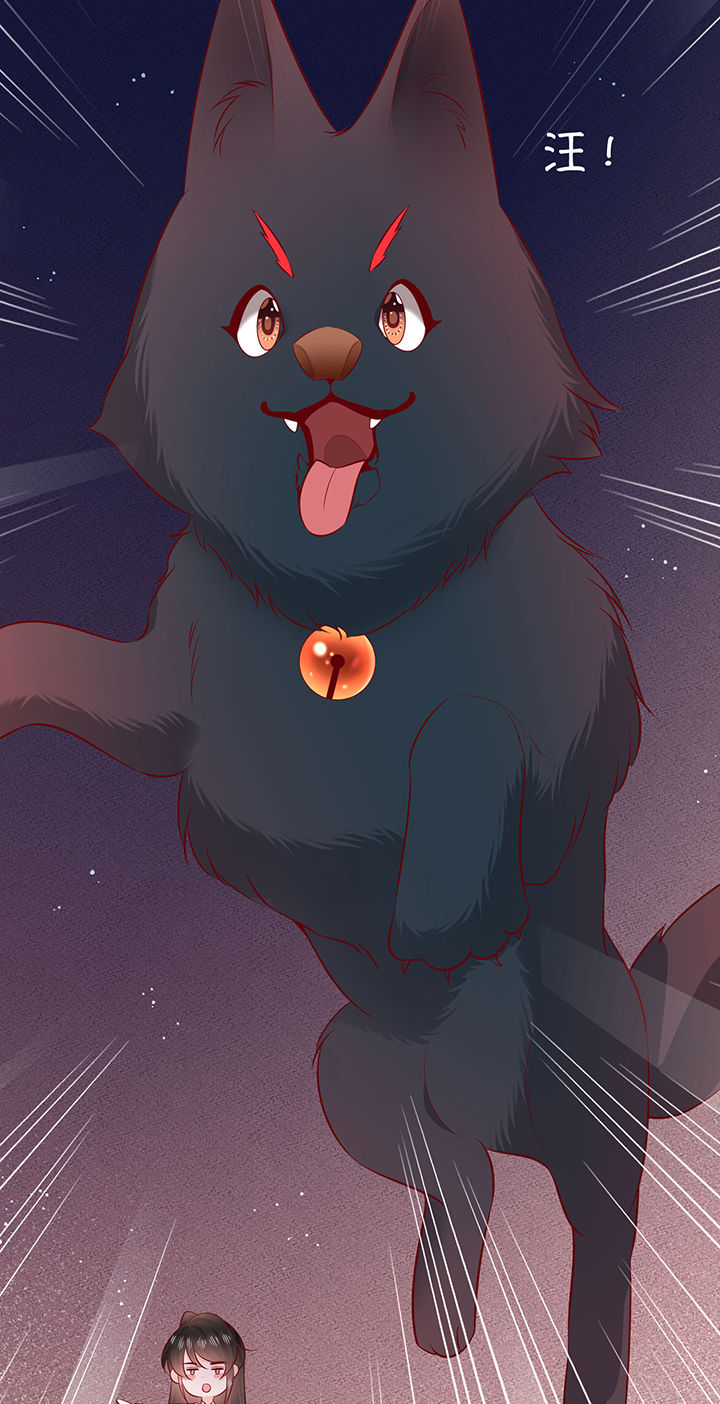 这个王妃路子野得宠女主什么时候知道男主是北阴漫画,第176章：【番外】婚事顺利结束5图