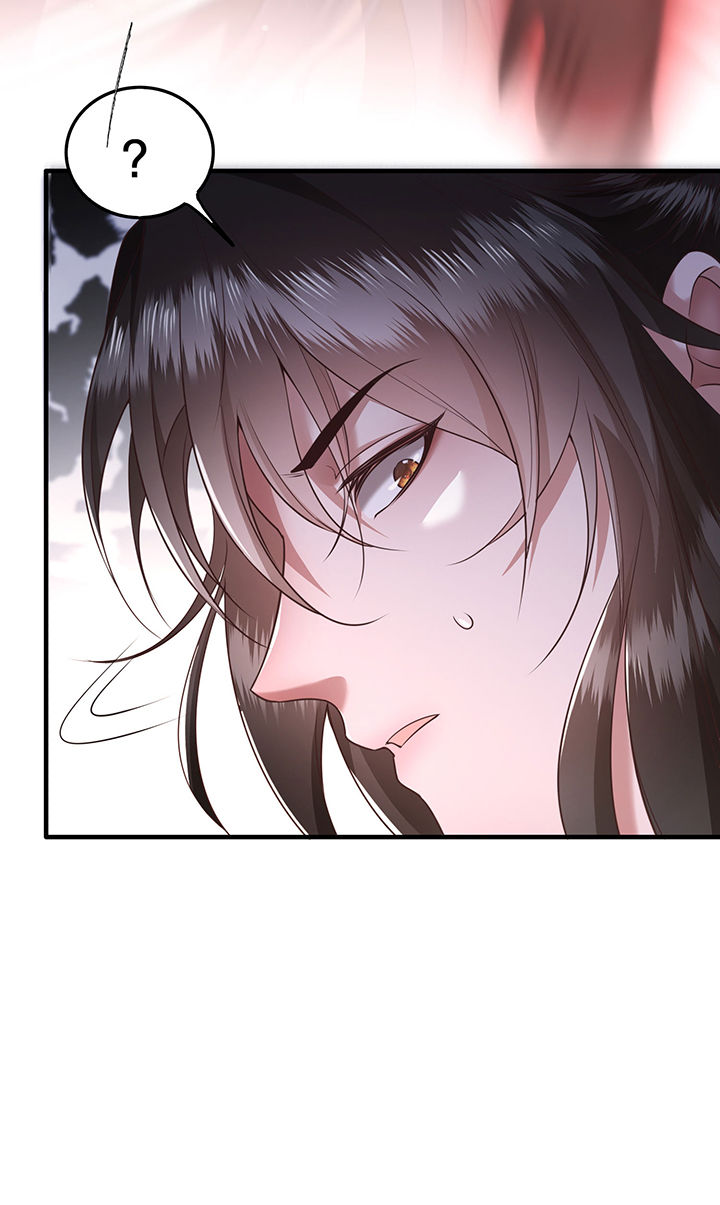 这个王妃有点野全文免费阅读漫画,第33章：赶紧把那只猫精收拾了！_3图