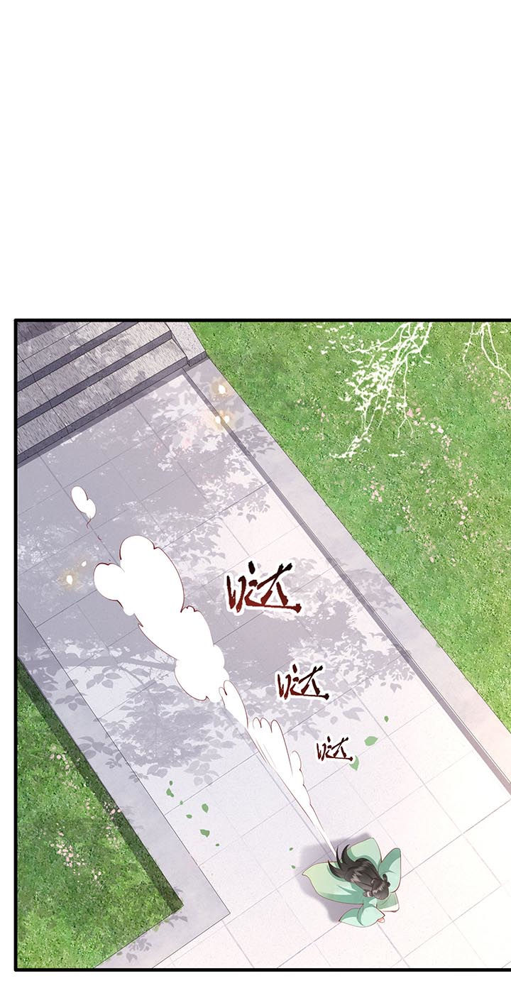 这个王妃路子野人物介绍漫画,第81章：暗杀情敌？5图