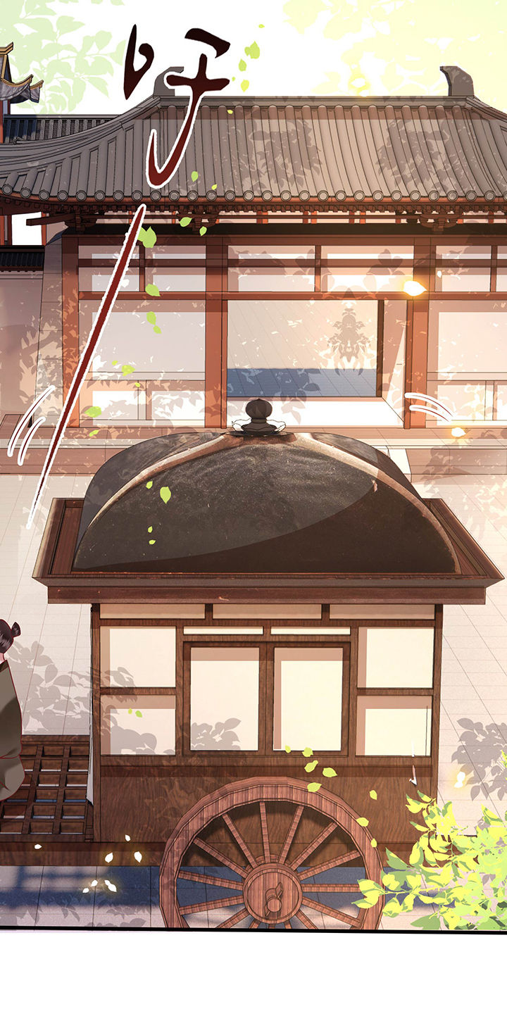 这个王妃路子野,得宠漫画,第63章：你是不是偷亲我？4图