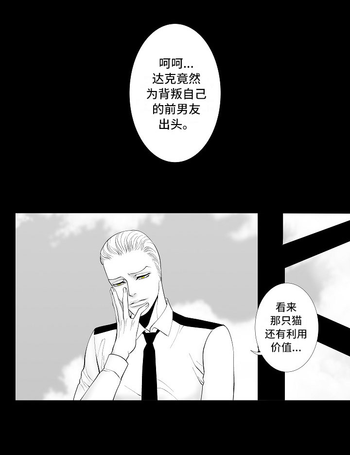 最后的重逢大结局漫画,第3章：暗中观察5图