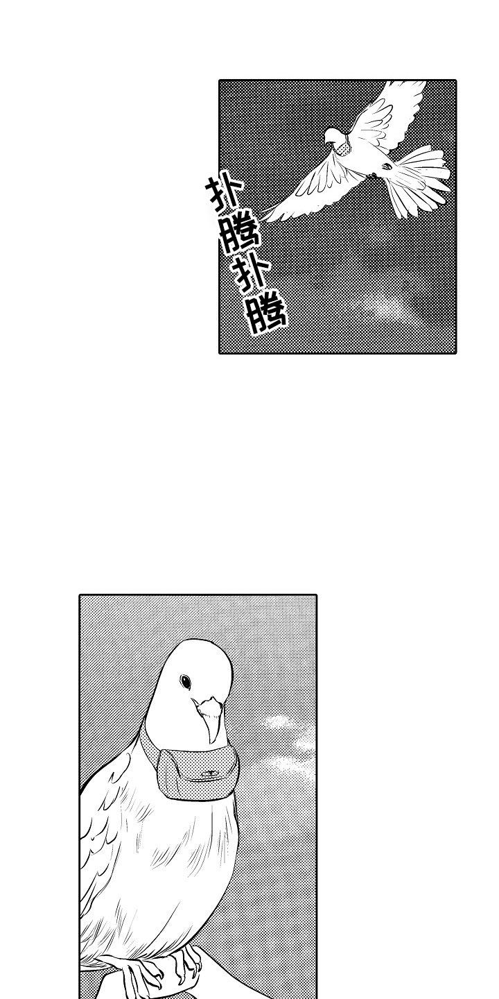 最后的重逢漫画,第28章：夜想曲：求助2图