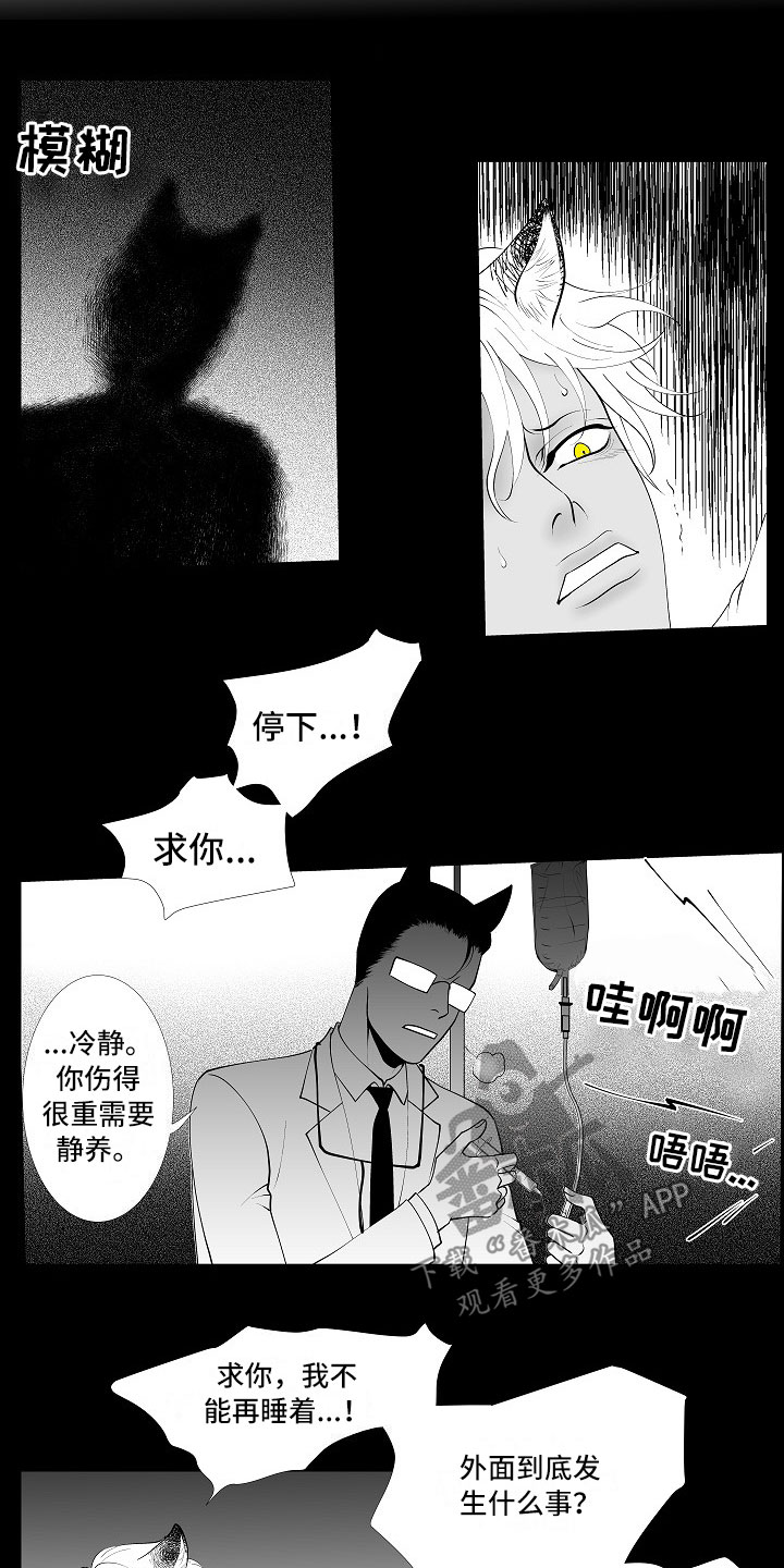 最后的重逢钢琴漫画,第11章：所长的目的2图