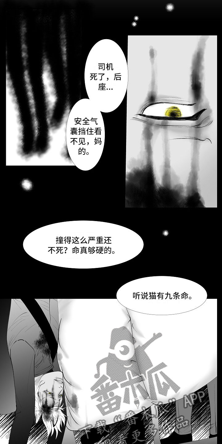 最后的重逢钢琴漫画,第11章：所长的目的1图