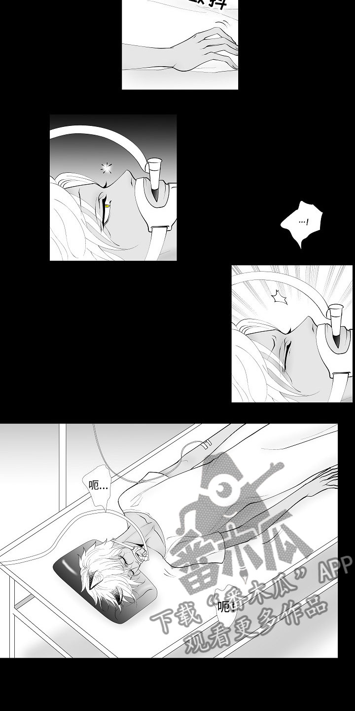 最后的重逢漫画,第9章：律师电话2图