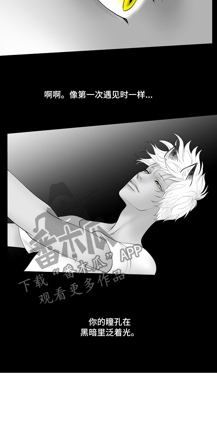 最后的重逢漫画,第14章：尘埃落定5图