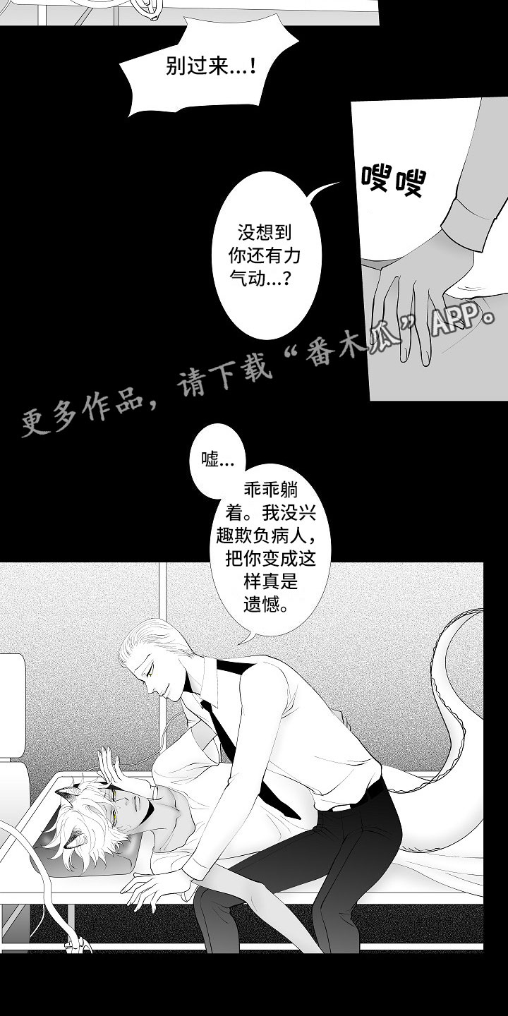 最后的重逢漫画,第9章：律师电话1图