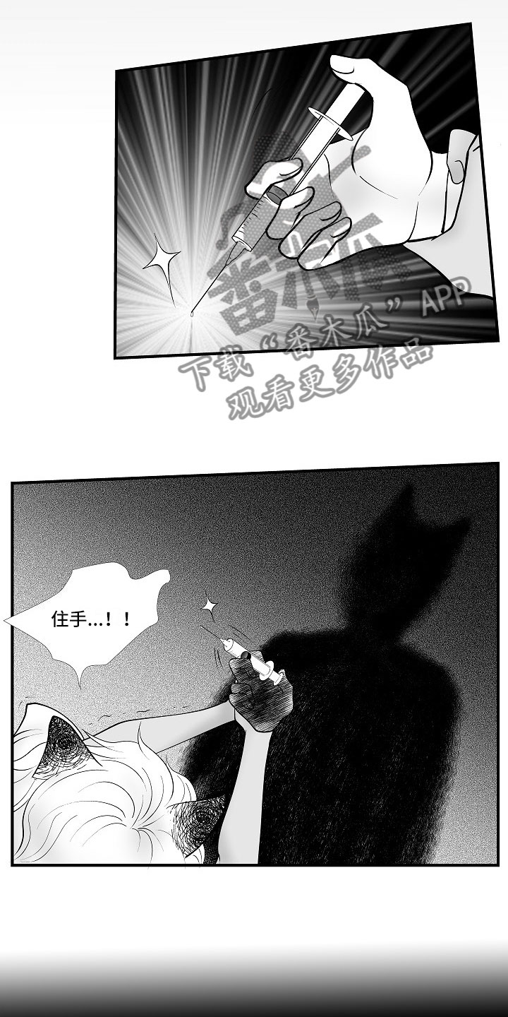 最后的重逢钢琴漫画,第11章：所长的目的1图