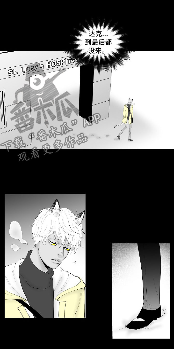 最后的重逢超燃剪辑漫画,第14章：尘埃落定2图