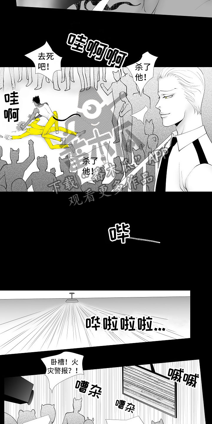 最后的重逢漫画,第13章：重要的事5图