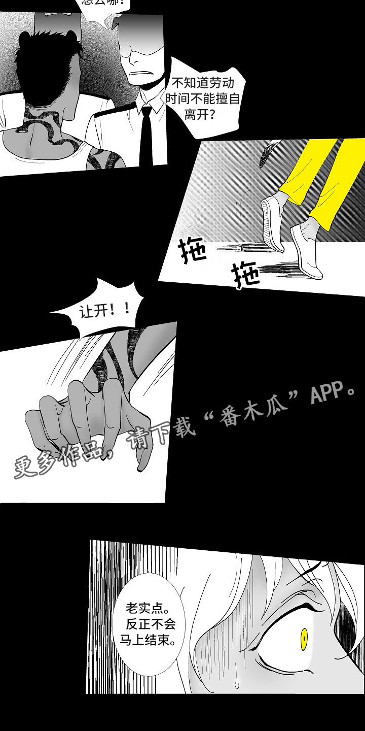 最后的重逢英语漫画,第5章：横插一手4图