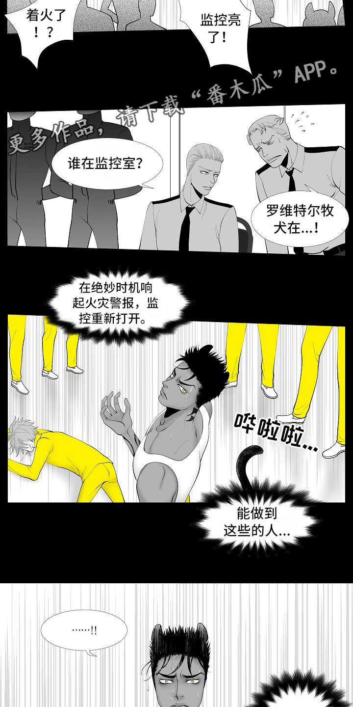 最后的重逢漫画,第13章：重要的事1图