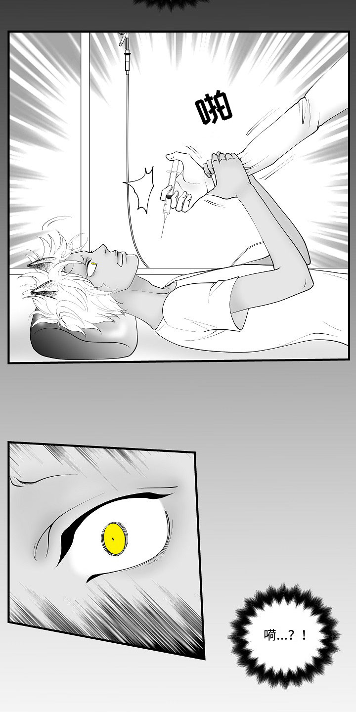 最后的重逢钢琴漫画,第11章：所长的目的5图