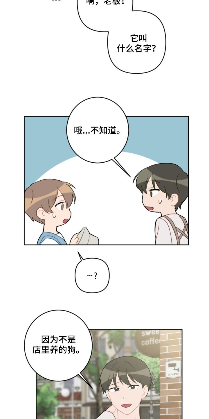 恋爱攻势漫画,第104章：名字4图