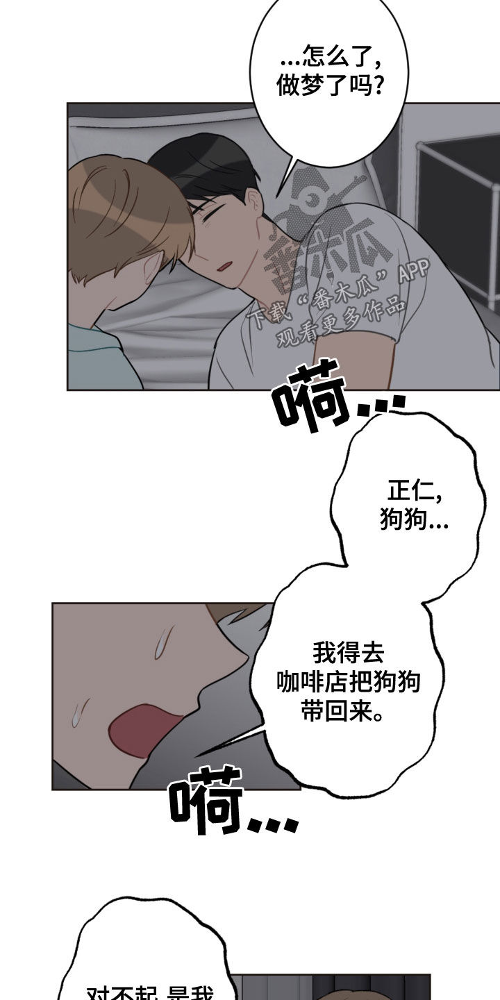 恋爱攻势漫画,第117章：救助狗狗2图