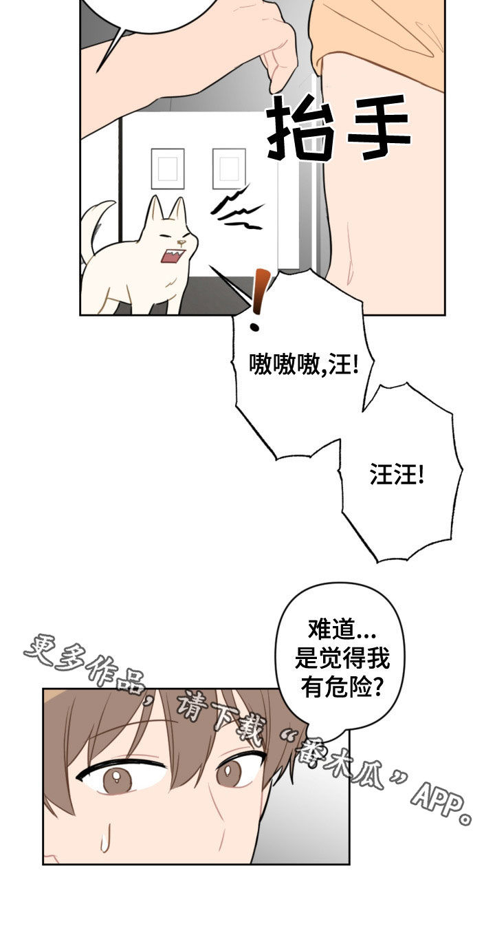 恋爱攻势漫画,第120章：护主5图