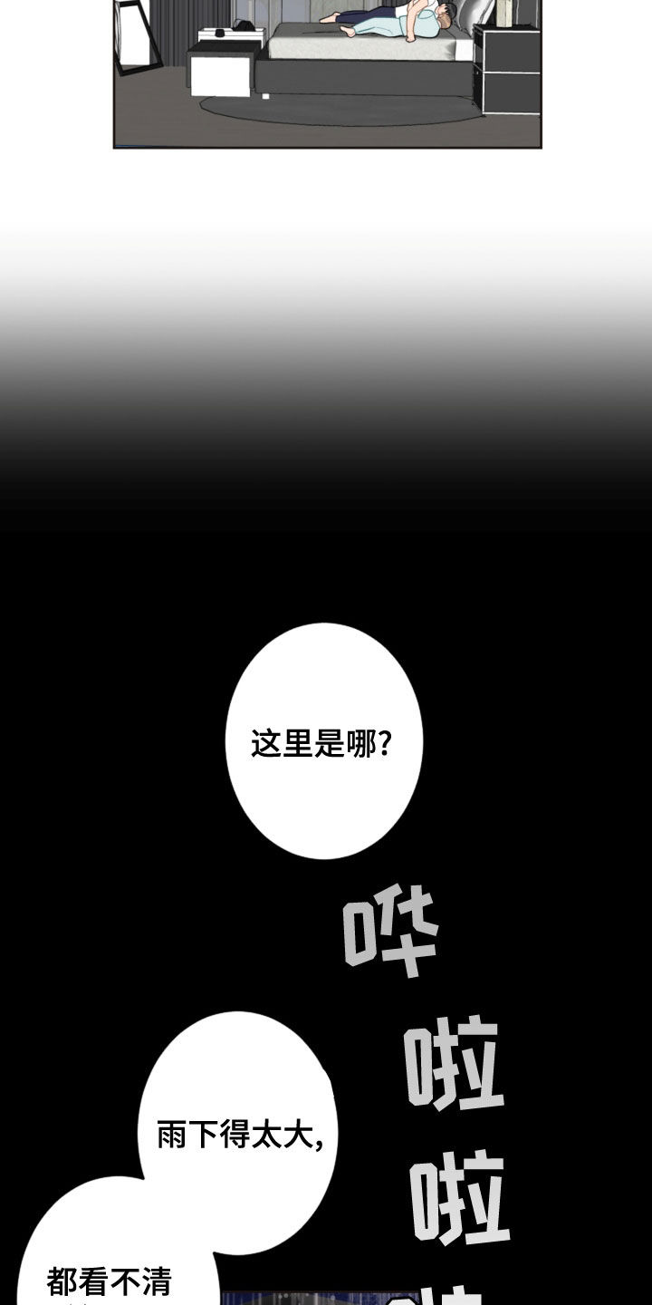 恋爱攻势漫画,第117章：救助狗狗2图
