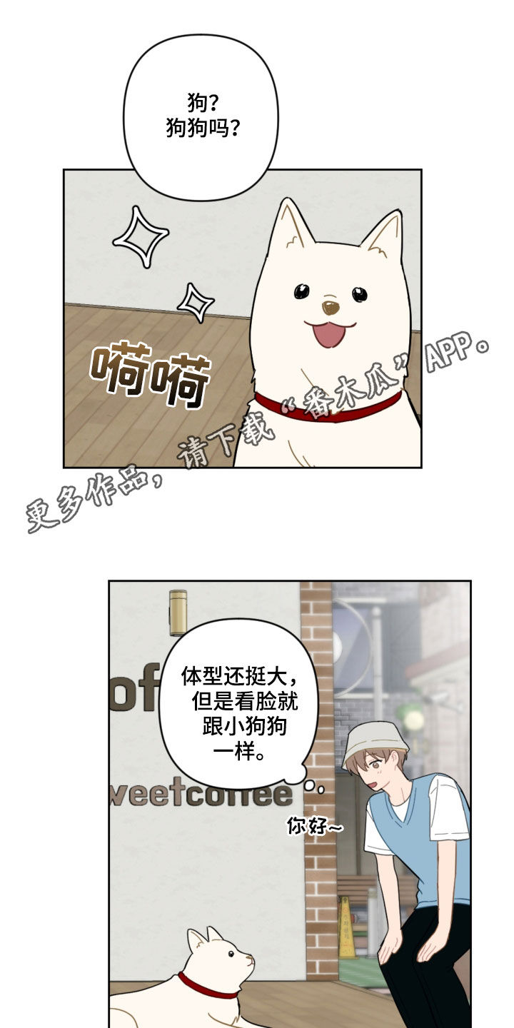 恋爱攻势漫画,第104章：名字1图