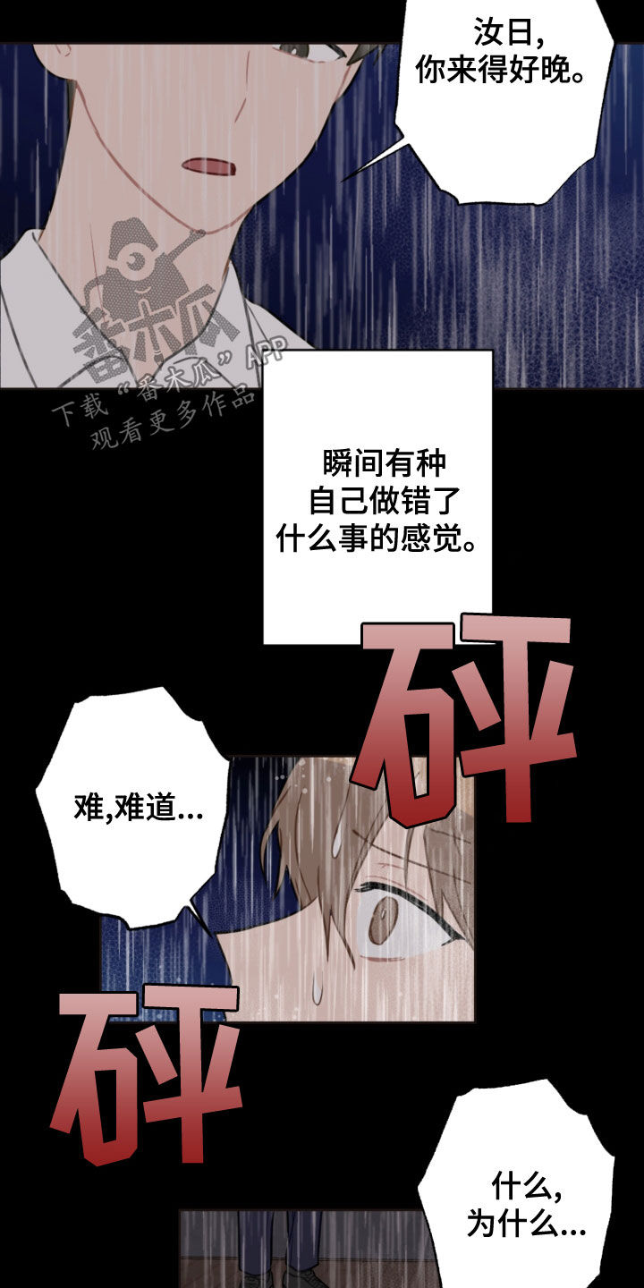 恋爱攻势漫画,第117章：救助狗狗2图