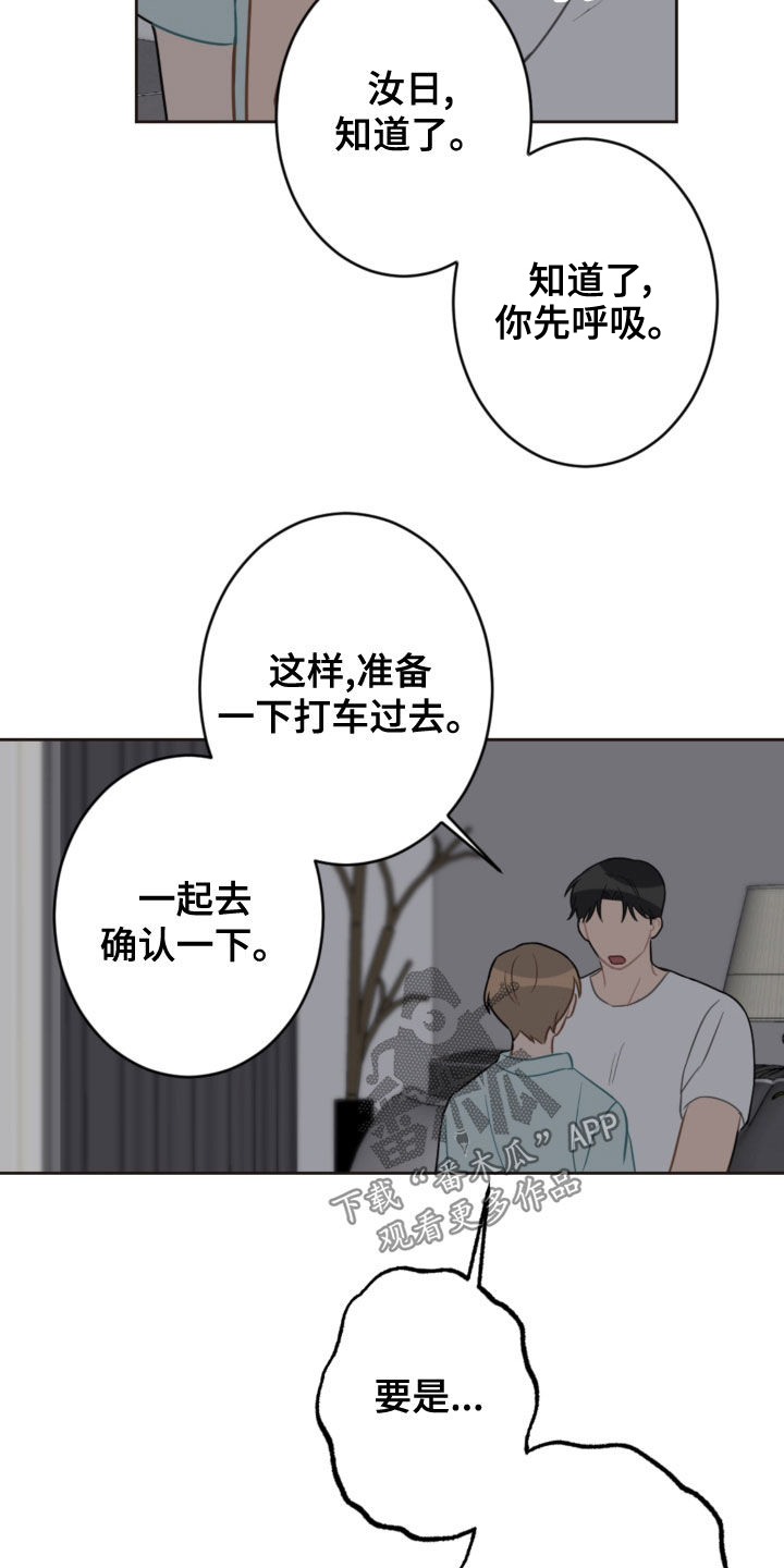 恋爱攻势漫画,第117章：救助狗狗5图